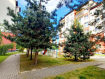 1-комнатная квартира, улица Лукашова, 11Б. Фото 26