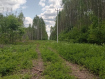 Участок городской округ Владимир Октябрьский район. Фото 1