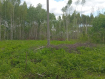 Участок городской округ Владимир Октябрьский район. Фото 2