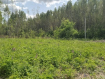 Участок городской округ Владимир Октябрьский район. Фото 8