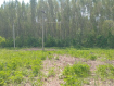 Участок городской округ Владимир Октябрьский район. Фото 10