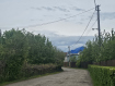 Участок городской округ Калининград Центральный район. Фото 6