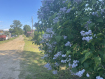Дом Рыбинский район . Фото 23