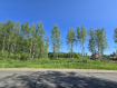 Участок Рыбинский район . Фото 1