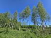 Участок Рыбинский район . Фото 2