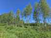Участок Рыбинский район . Фото 4
