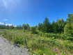 Участок Корсаковский городской округ . Фото 5