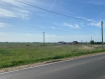 Участок Суздальский район . Фото 4