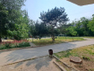 1-комнатная квартира, улица Орджоникидзе, 49/4. Фото 1