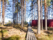 Коммерческая недвижимость  Пряжинский район Дачный переулок, 10А. Фото 19