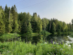 Участок Пермский муниципальный округ . Фото 1