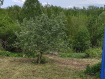 3-комнатная квартира, , 26. Фото 34
