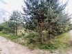 Участок городской округ Щёлково . Фото 1