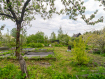 Дом Прионежский район . Фото 37