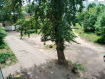 Комната, Красноармейская улица, 1. Фото 13