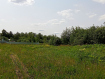Участок Рязанский район . Фото 1