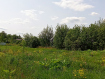 Участок Рязанский район . Фото 4