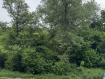 1-комнатная квартира, Новгородская улица, 5к1. Фото 18