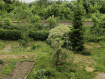 3-комнатная квартира, Летне-Перевозинская улица, 32Б. Фото 1