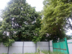 Участок Орехово-Зуевский городской округ . Фото 3