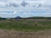 Участок городской округ Владимир Октябрьский район. Фото 2