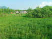 Участок Арсеньевский городской округ микрорайон Солнечный. Фото 1