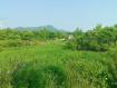 Участок Арсеньевский городской округ микрорайон Солнечный. Фото 2