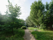 2-комнатная квартира, улица Муромцева, 91. Фото 18
