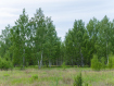 Участок Рязанский район . Фото 11