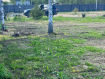 Участок городской округ Клин . Фото 5