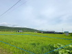 Участок городской округ Южно-Сахалинск . Фото 3