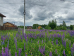 Участок городской округ Владимир Октябрьский район. Фото 3