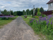 Участок городской округ Владимир Октябрьский район. Фото 6