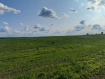 Коммерческая недвижимость  Суздальский район , . Фото 2