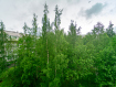 2-комнатная квартира, Сыктывкарская улица, 27к1. Фото 29