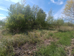 Участок Зеленоградский городской округ посёлок Сосновка. Фото 2