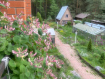 Дом городской округ Владимир Октябрьский район. Фото 4