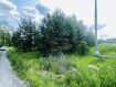 Участок Богородский городской округ . Фото 5