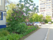 3-комнатная квартира, проспект Героев, 17. Фото 12