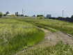 Участок Уссурийский городской округ . Фото 4