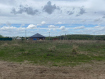 Участок городской округ Владимир Октябрьский район. Фото 4