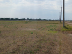Участок Ейский район . Фото 6
