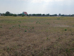 Участок Ейский район . Фото 7