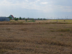 Участок Ейский район . Фото 11