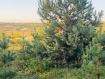 Участок Ковровский район . Фото 2