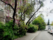 2-комнатная квартира, проспект Генерала Острякова, 147. Фото 16