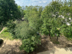 2-комнатная квартира, улица Беляева, 33. Фото 25