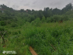 Дом городской округ Пермь Орджоникидзевский район. Фото 16
