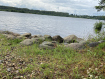 Участок Мышкинский район . Фото 6