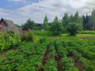 Участок Тейковский район . Фото 1
